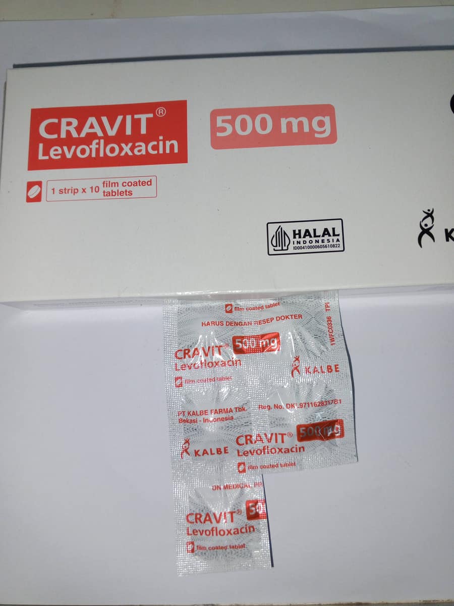 CRAVIT 500 MG