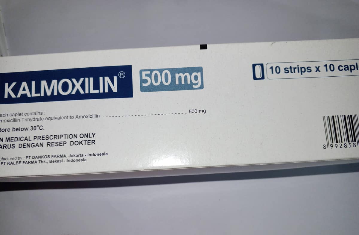 KALMOXILLIN 500 MG