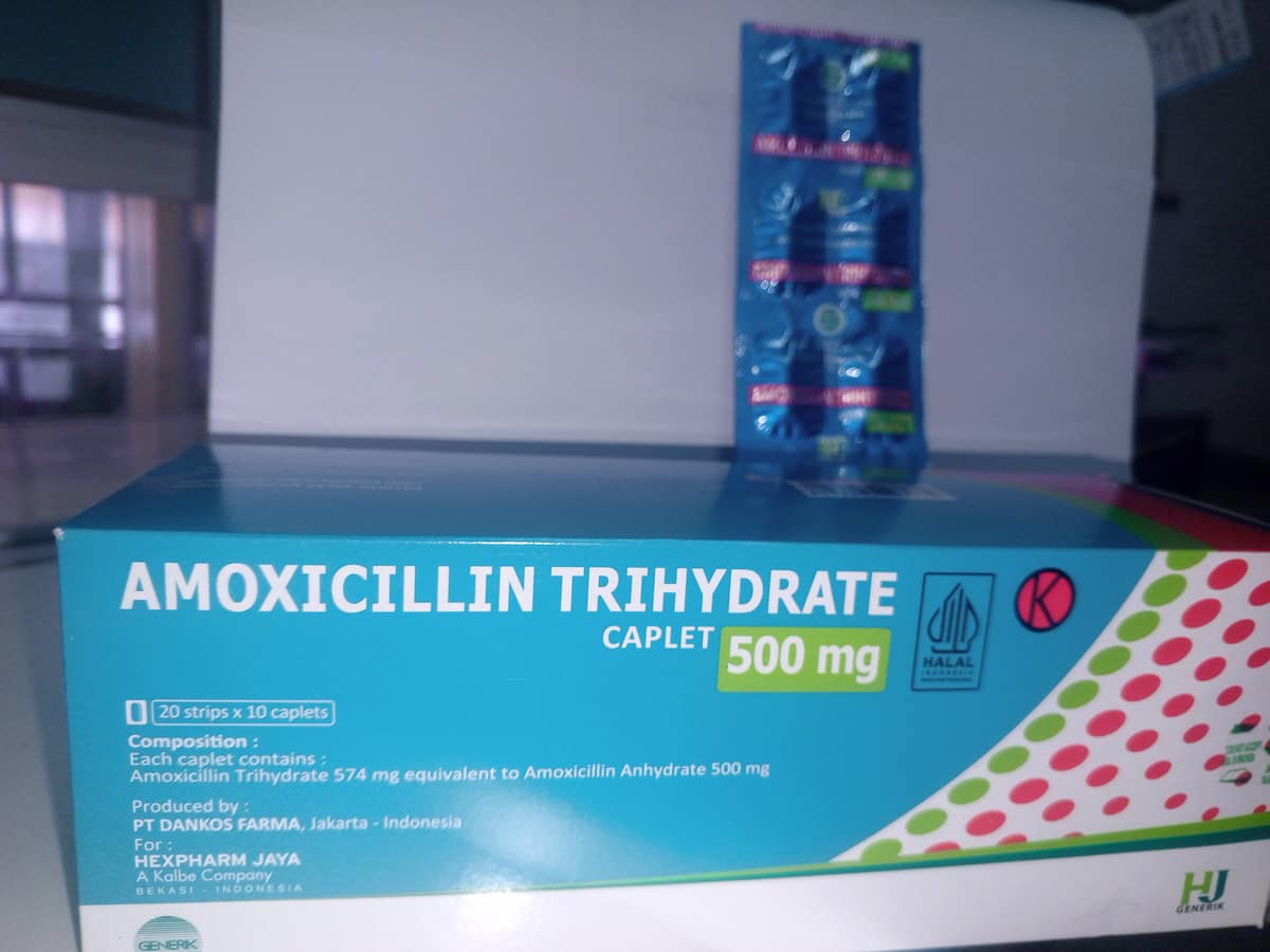 AMOXICILLIN 500 MG (CK)